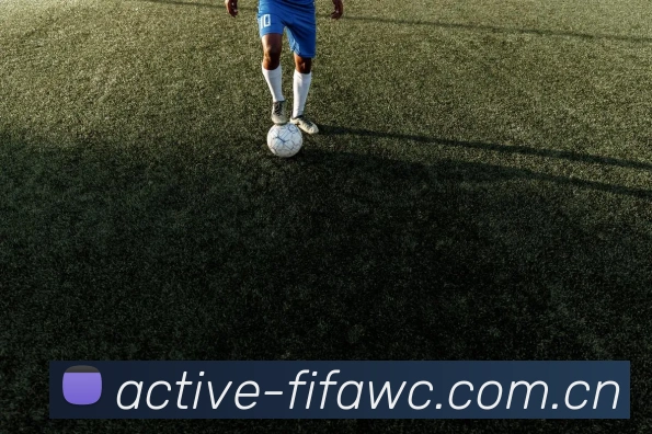 FIFA 官方数据授权认证